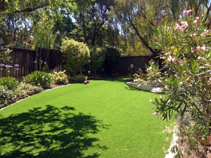 Plastic Grass West Carson, California Landscape Rock, Beautiful Backyards