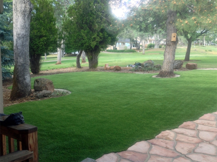 Synthetic Grass Citrus, California Lawn And Garden, Front Yard Landscaping Ideas