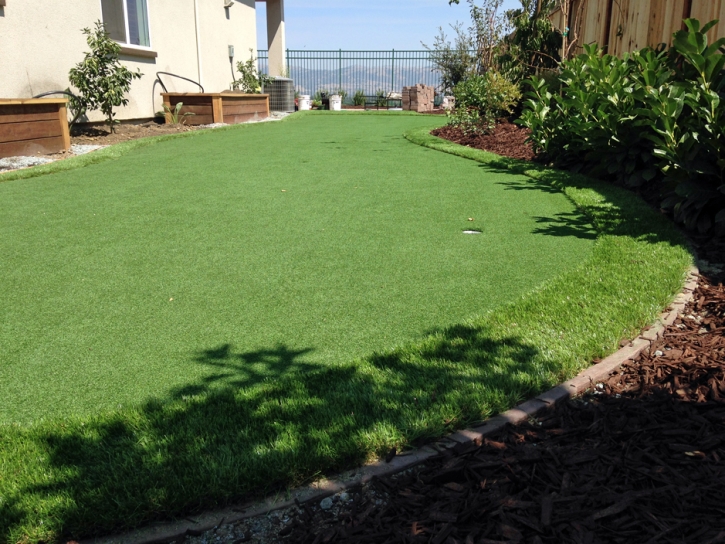 Synthetic Grass Cost Buellton, California Landscape Rock, Backyard