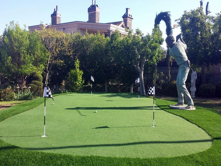 Synthetic Grass Cost California Hot Springs, California Landscaping, Backyard Landscaping