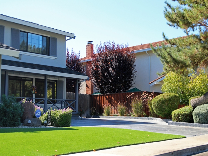 Synthetic Grass Cost Placentia, California Landscaping Business, Front Yard