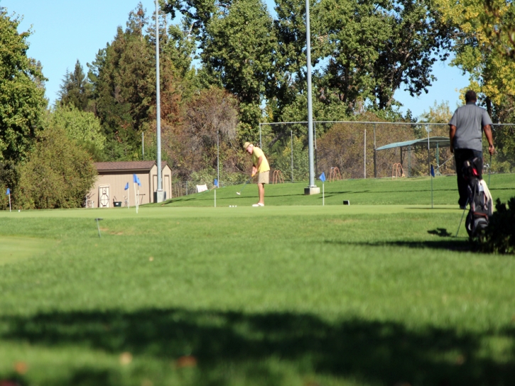 Synthetic Grass Cost Val Verde, California Putting Green Grass, Commercial Landscape