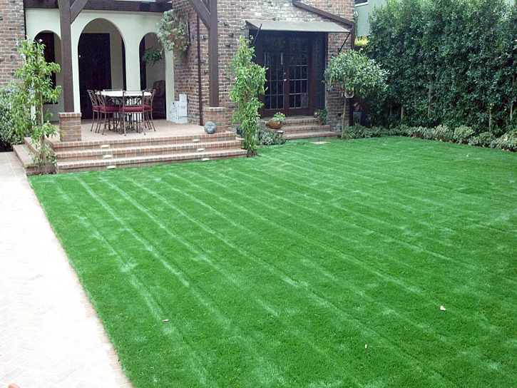 Synthetic Grass Covina, California Backyard Playground, Front Yard Design