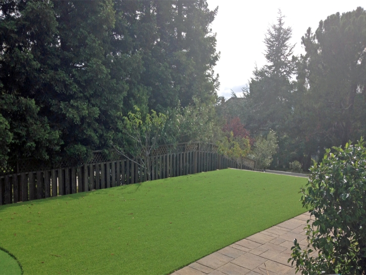 Synthetic Grass Frazier Park, California Lawns, Backyard Designs