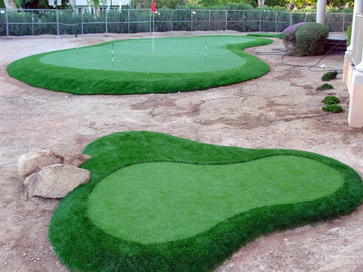 Synthetic Grass Glen Avon, California Diy Putting Green, Landscaping Ideas For Front Yard