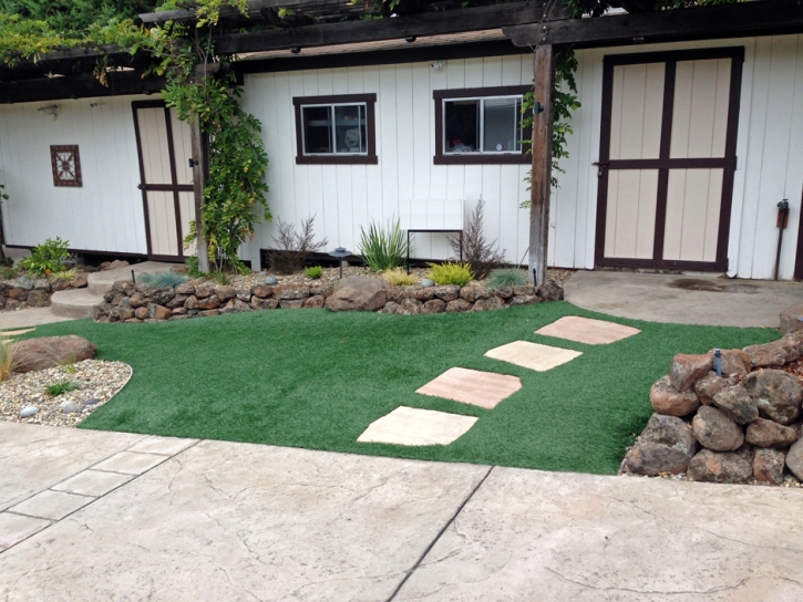 Synthetic Grass La Crescenta-Montrose, California Landscape Ideas, Front Yard Landscape Ideas