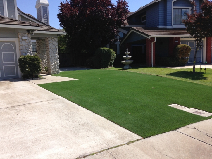 Synthetic Grass Lancaster, California Home And Garden, Front Yard Landscaping Ideas