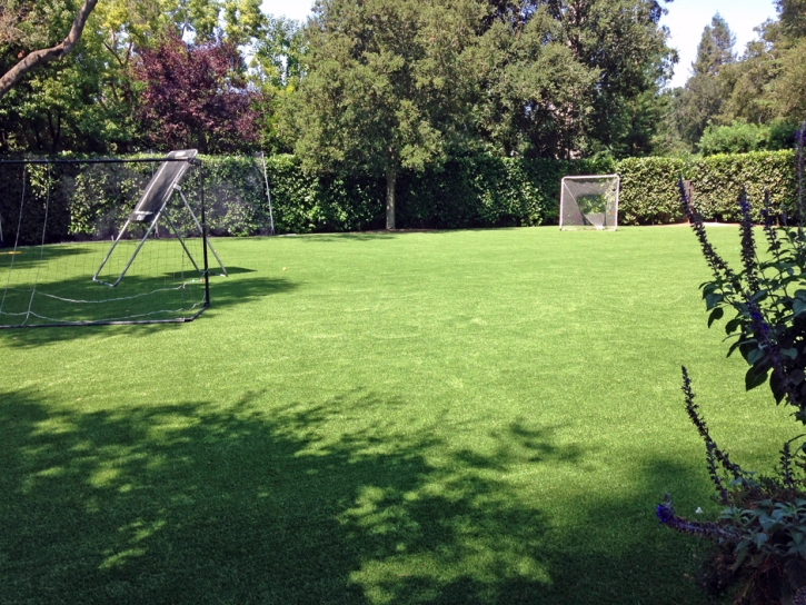 Synthetic Grass Littlerock, California Landscaping, Backyard Landscape Ideas