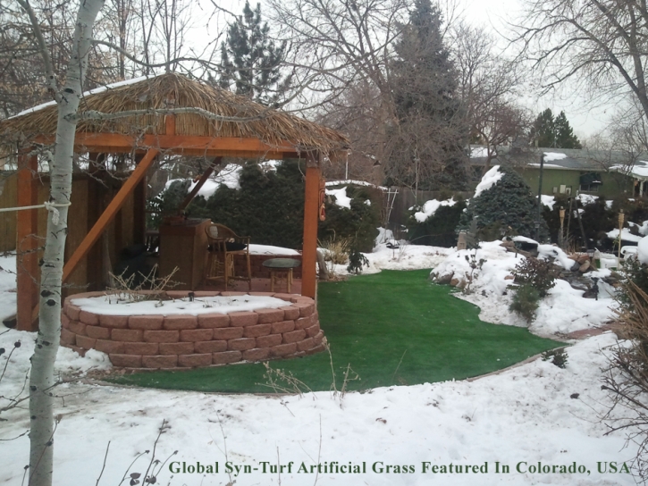 Synthetic Grass Oak Park, California Landscaping, Snow