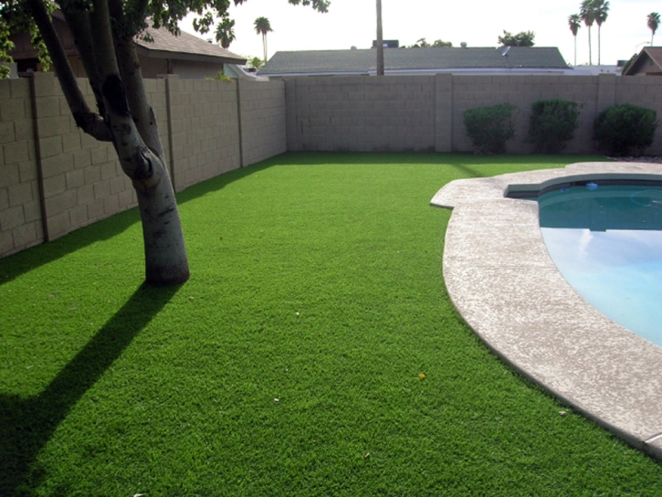 Synthetic Grass Randsburg, California Landscape Photos, Swimming Pool Designs