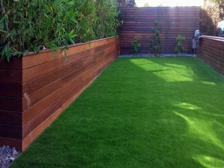 Synthetic Lawn Lake Los Angeles, California Landscaping, Small Backyard Ideas