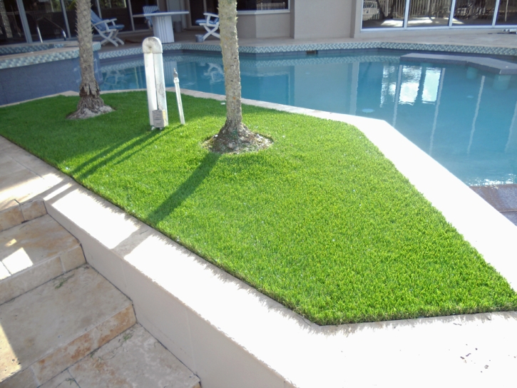 Synthetic Lawn Marina del Rey, California Design Ideas, Backyards