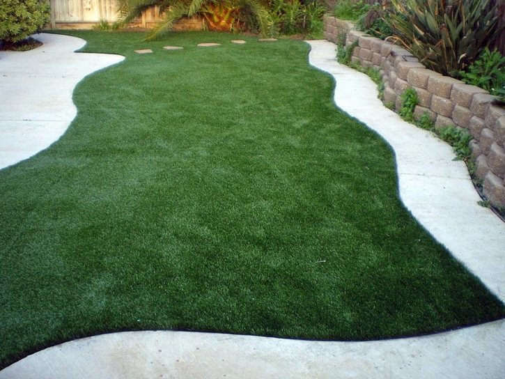 Synthetic Lawn Nuevo, California Landscaping Business, Backyard Ideas