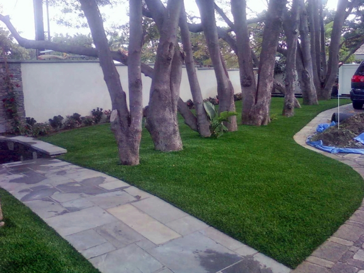 Synthetic Lawn Port Hueneme, California Lawn And Landscape, Front Yard Landscaping