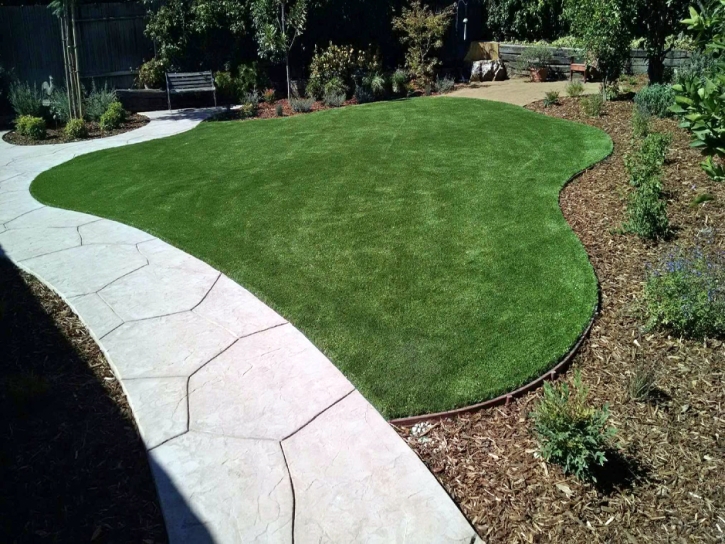 Synthetic Lawn San Joaquin Hills, California Landscape Design, Front Yard Landscaping Ideas