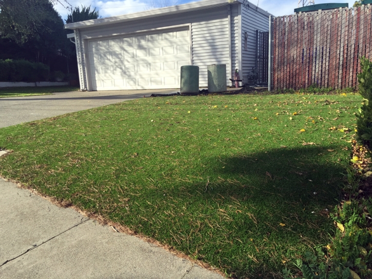 Synthetic Lawn Sedco Hills, California Paver Patio, Front Yard