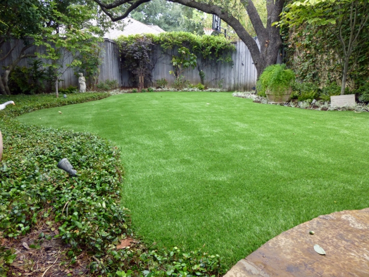 Synthetic Lawn Tehachapi, California Rooftop, Beautiful Backyards