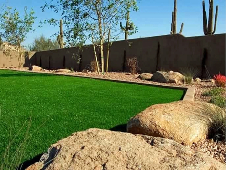 Synthetic Lawn West Hollywood, California Garden Ideas, Backyard Ideas