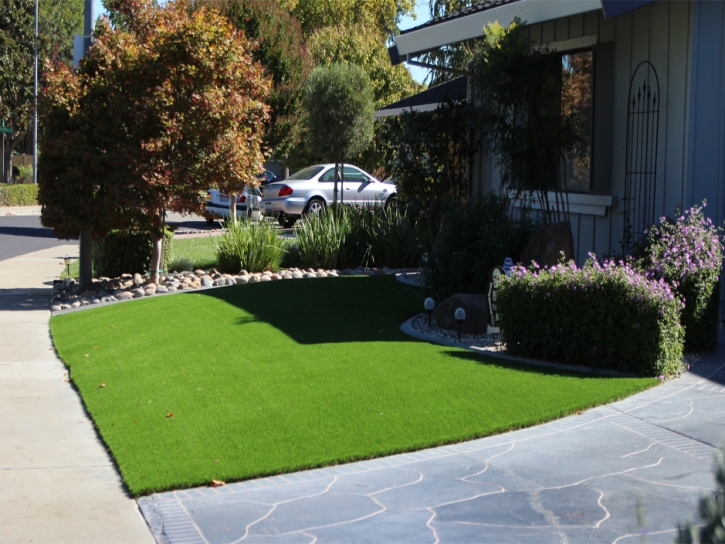 Synthetic Lawn Westwood, California Lawns, Landscaping Ideas For Front Yard