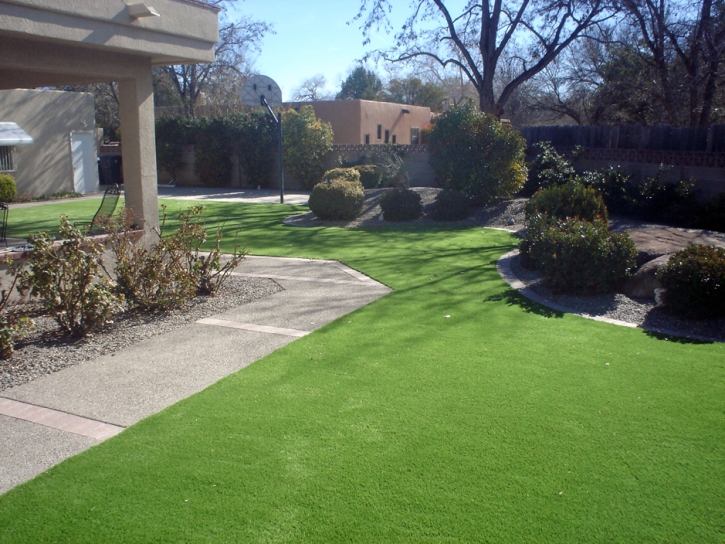 Synthetic Turf Frazier Park, California Landscape Photos, Front Yard Ideas