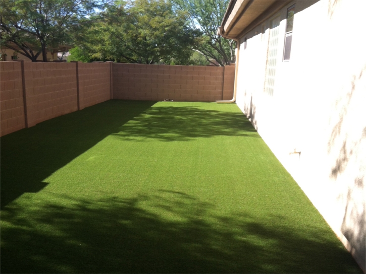 Synthetic Turf Leona Valley, California Lawns, Backyard Landscaping Ideas