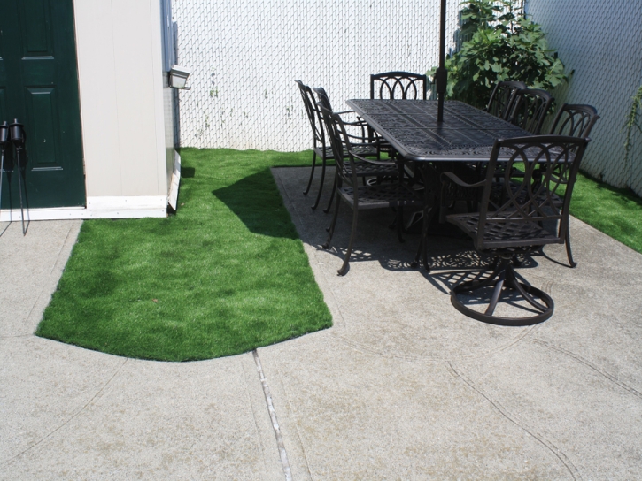 Synthetic Turf Maywood, California Lawn And Garden, Backyard Landscaping Ideas