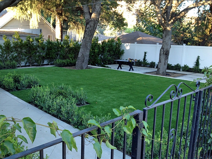 Synthetic Turf Phelan, California Design Ideas, Landscaping Ideas For Front Yard