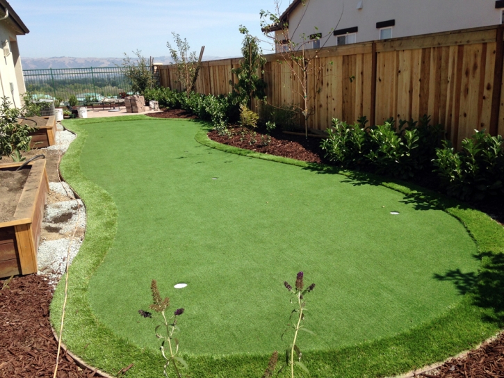 Synthetic Turf Poso Park, California Backyard Putting Green, Backyard Landscaping Ideas