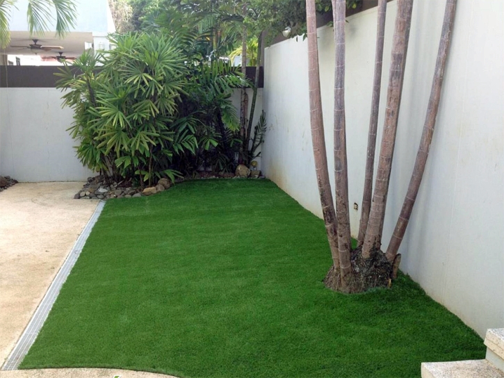 Synthetic Turf Supplier Castaic, California Landscape Rock, Backyard