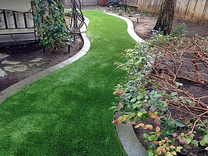 Synthetic Turf Supplier Idlewild, California Home And Garden, Backyard