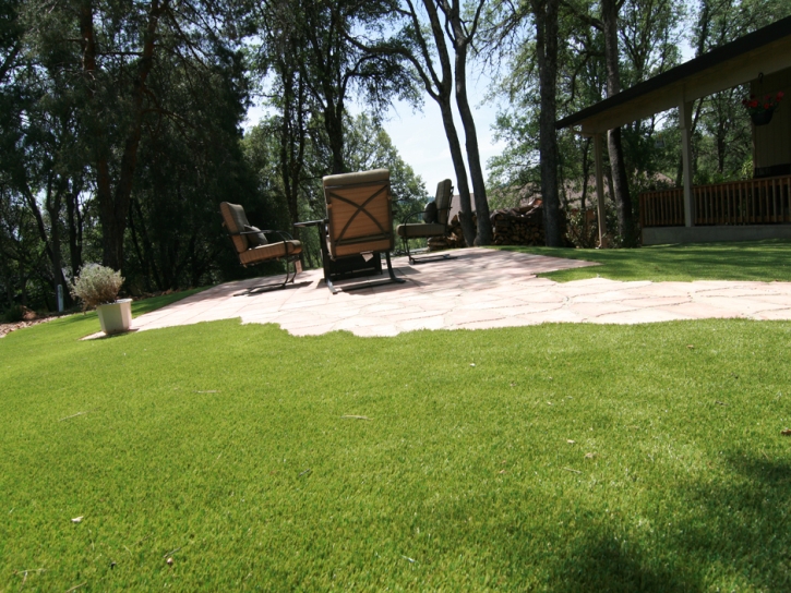 Synthetic Turf Supplier Los Alamos, California City Landscape, Backyard Design