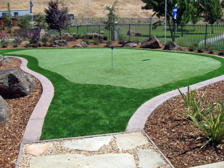 Synthetic Turf Supplier March Air Force Base, California Landscape Photos, Small Backyard Ideas