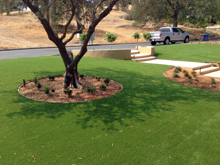 Synthetic Turf Supplier Muscoy, California Backyard Deck Ideas, Front Yard Design