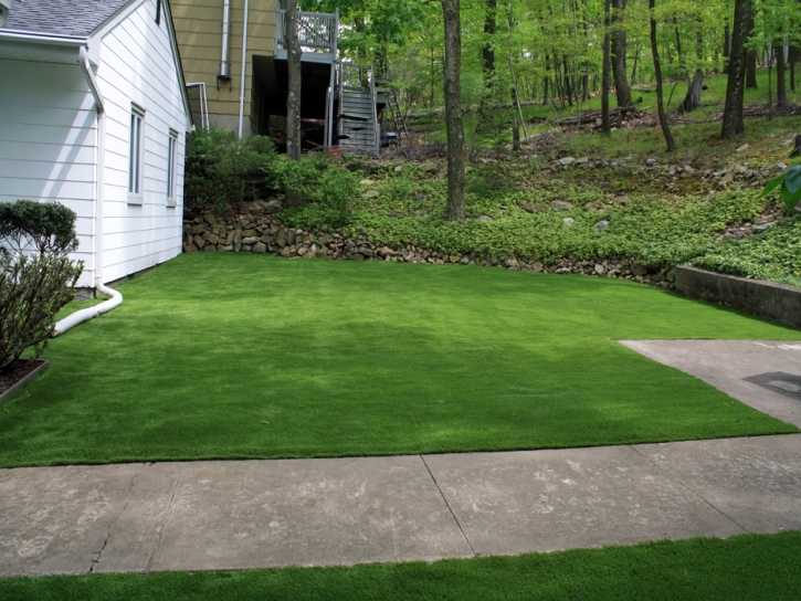 Synthetic Turf Supplier Orcutt, California Backyard Playground, Front Yard