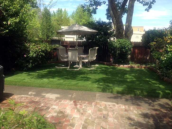 Synthetic Turf Supplier West Puente Valley, California City Landscape, Backyard Ideas