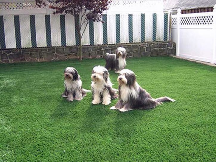 Synthetic Turf Supplier Westmont, California Landscape Rock, Backyard Landscaping Ideas