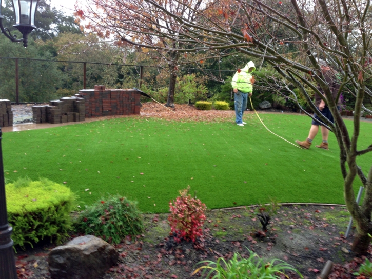 Turf Grass Altadena, California Backyard Playground, Beautiful Backyards