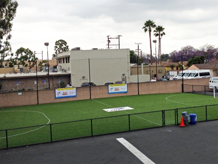 Turf Grass Hollywood, California Backyard Sports, Commercial Landscape