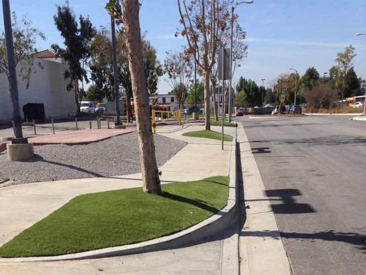 Turf Grass La Habra, California Landscaping Business, Commercial Landscape