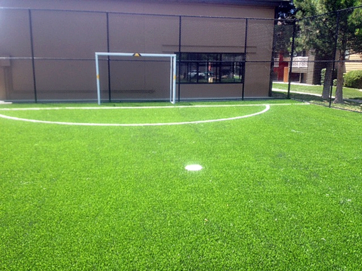 Turf Grass La Puente, California City Landscape