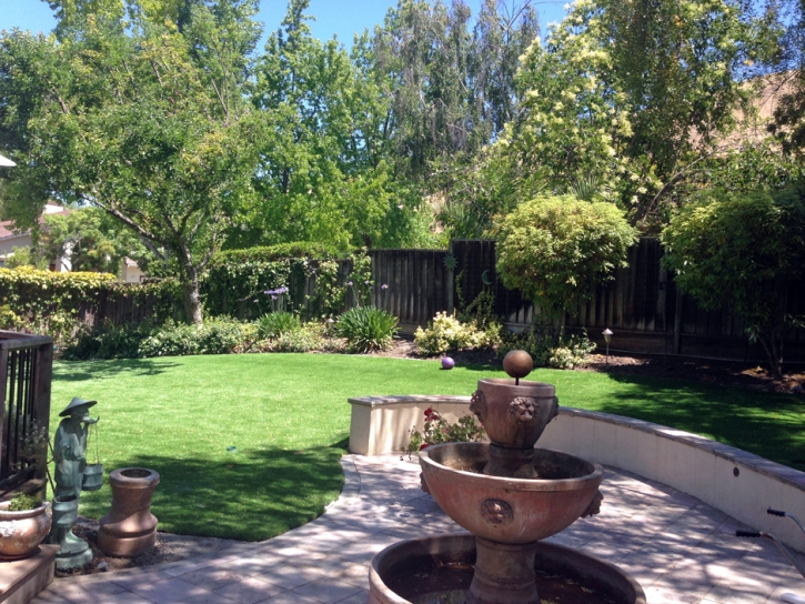 Turf Grass Los Angeles, California Lawns, Backyard Landscaping